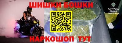 амф Новодвинск