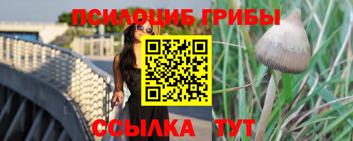 Псилоцибиновые грибы ЛСД Сыктывкар